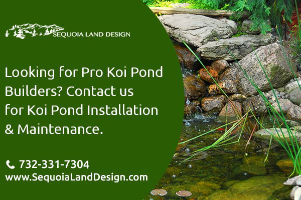 Benefits Of Hiring Pro Koi Pond Builders